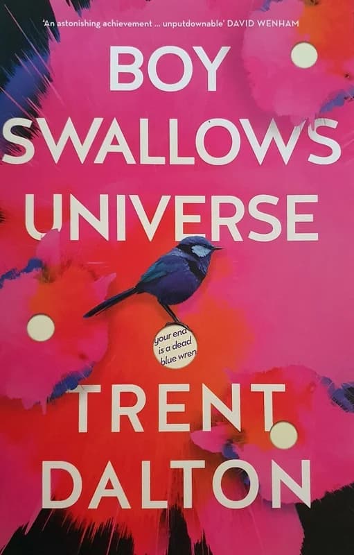 Boy Swallows Universe